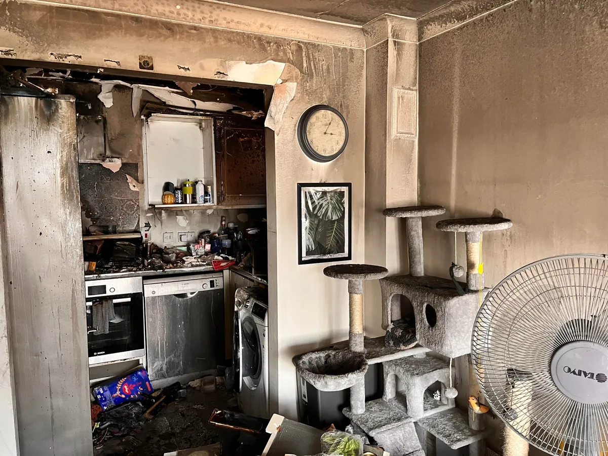 2 months today since my void was rescued from a fire in my apartment