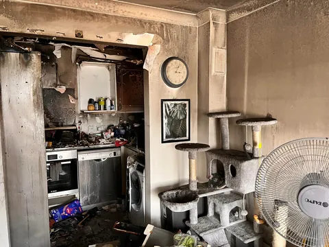 2 months today since my void was rescued from a fire in my apartment