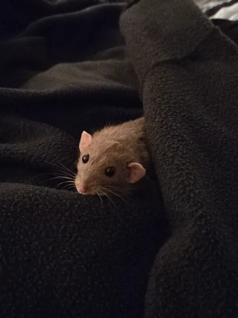 WHY IS JIMILY SO PHOTOGENIC