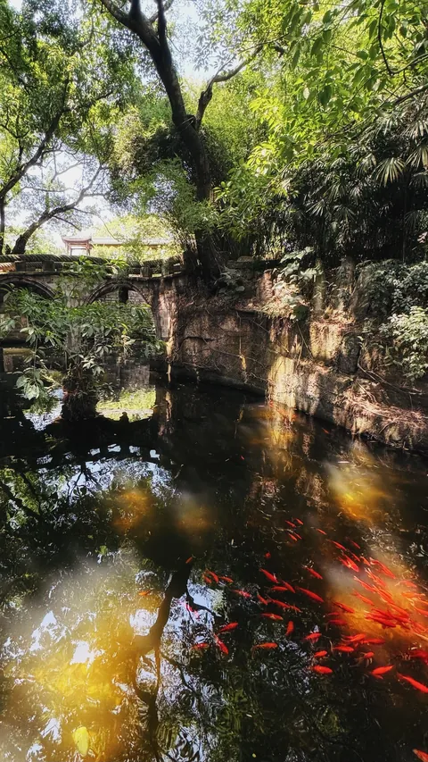 2,5 days in Chongqing, China