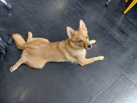 My bestest buddy Felix