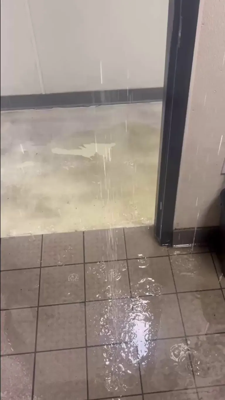 The vegetable oil pipe burst over the office at work