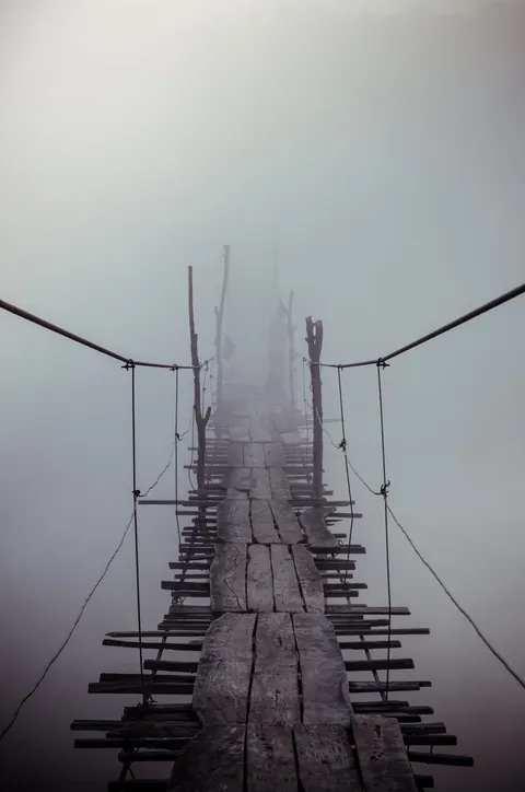 This Particular Bridge.