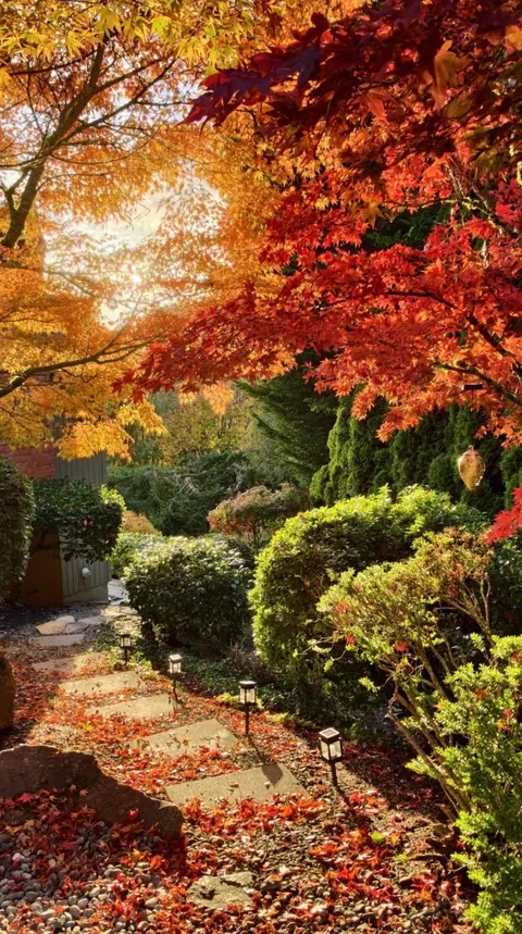 Visiting my friend’s garden feels like stepping into a fairytale.