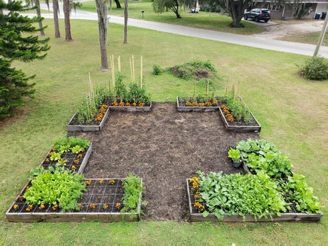 Climbed up on the roof today to get a progress pic.