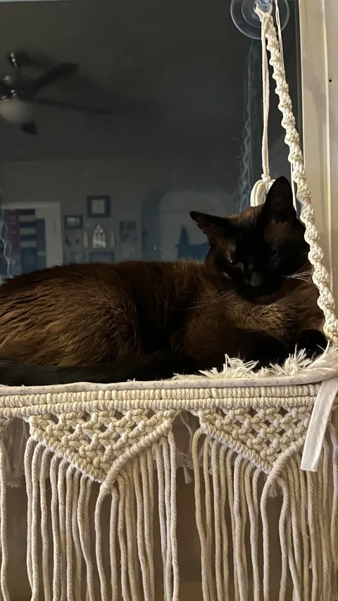 For my first Reddit post ever, here is my son💌