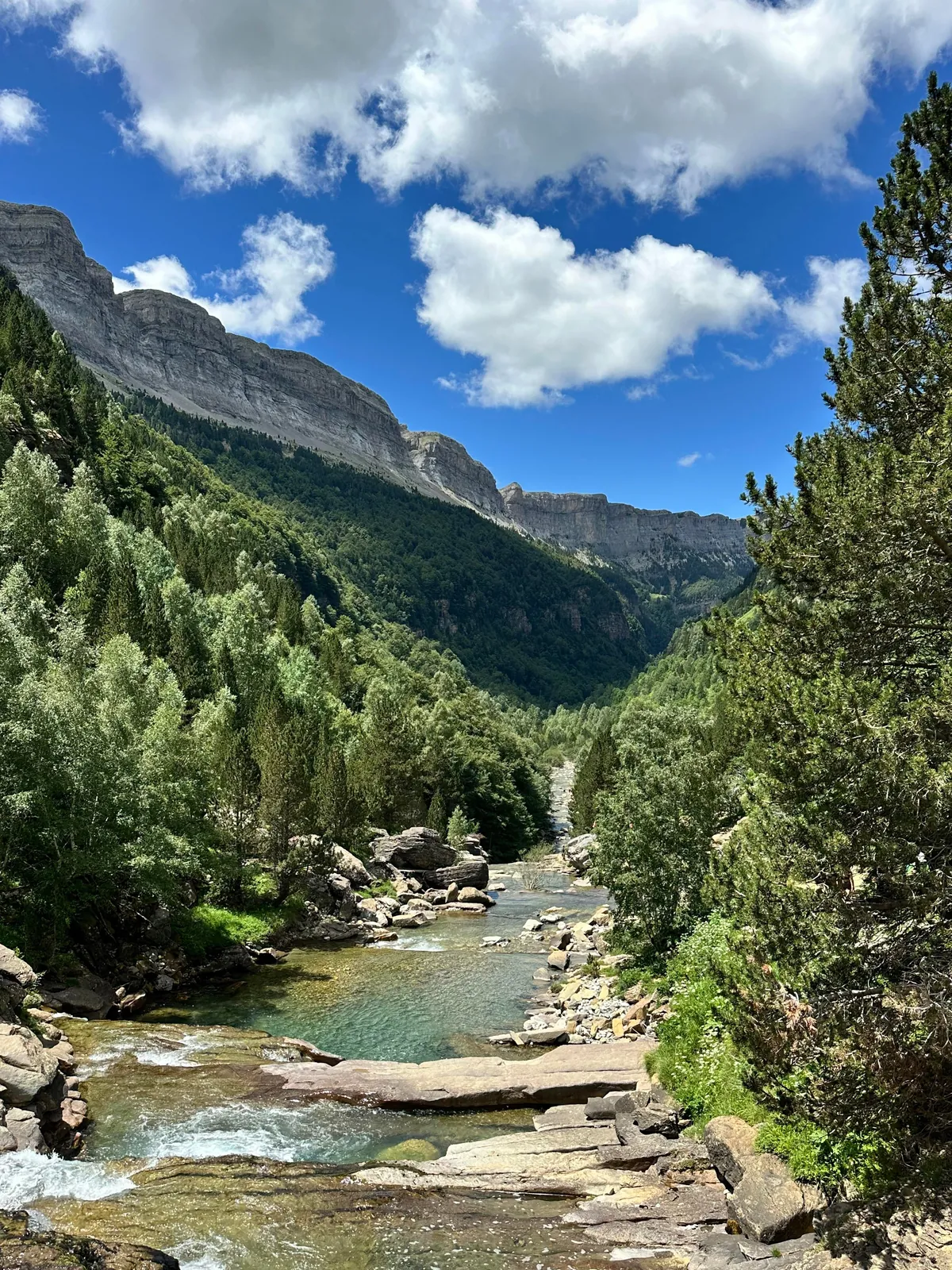Just Chilling in the Nature (Spain)