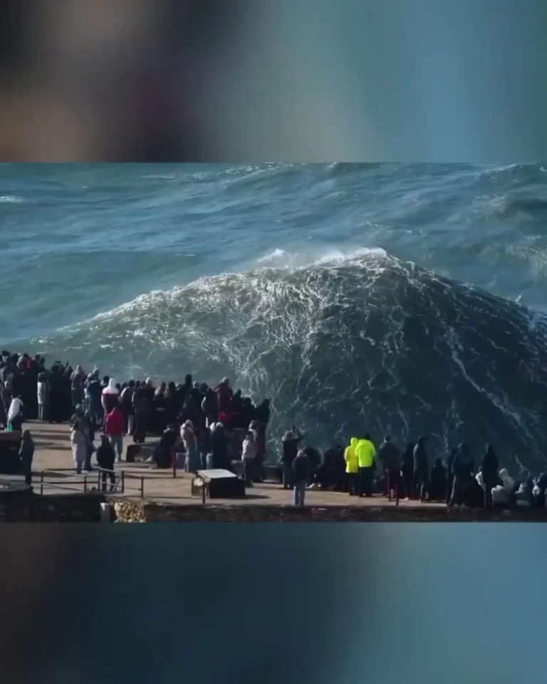 The colossal waves at Nazaré, Portugal are both beautiful and terrifying.