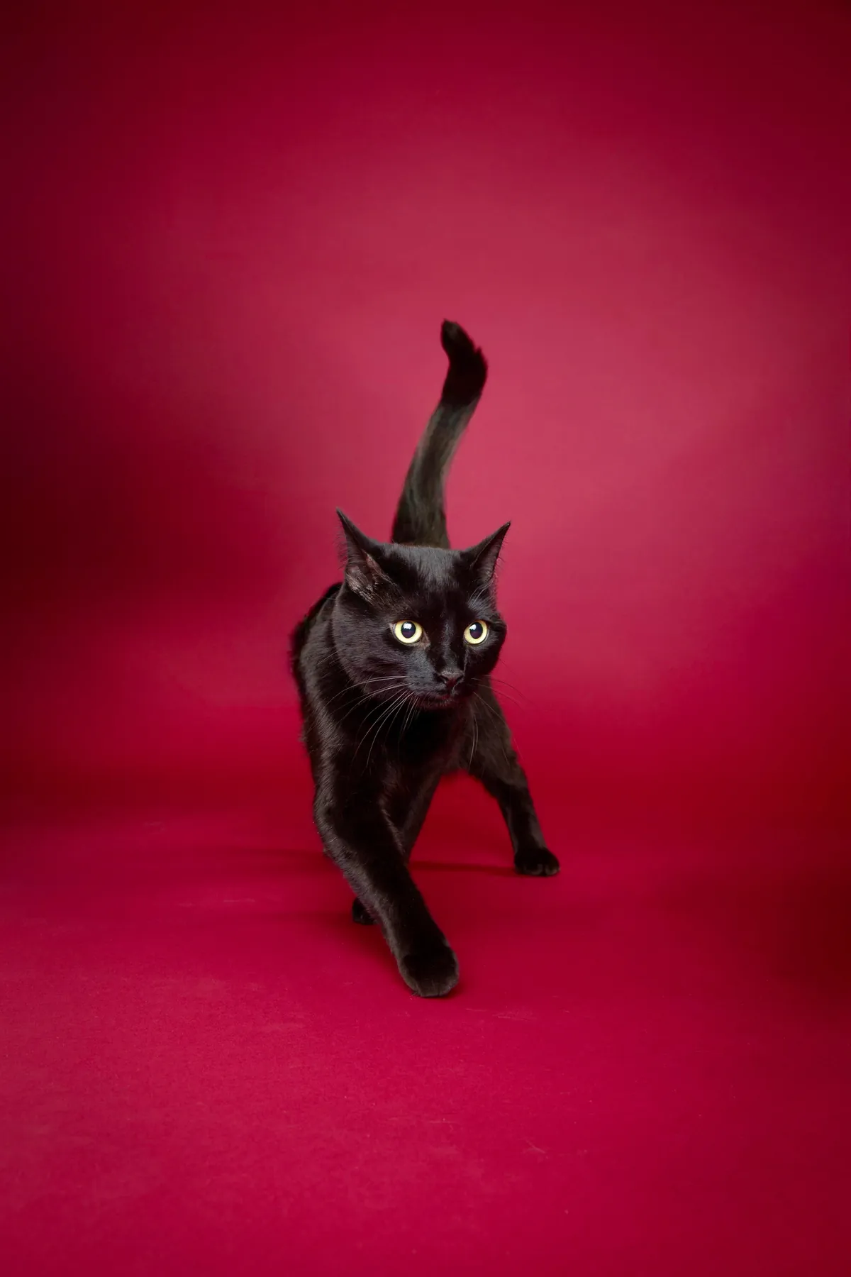 She got her photos taken professionally for charity!