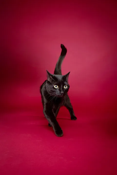 She got her photos taken professionally for charity!