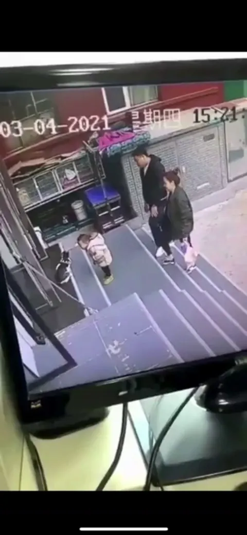 Owner asks dog to bring cat playing with kid back