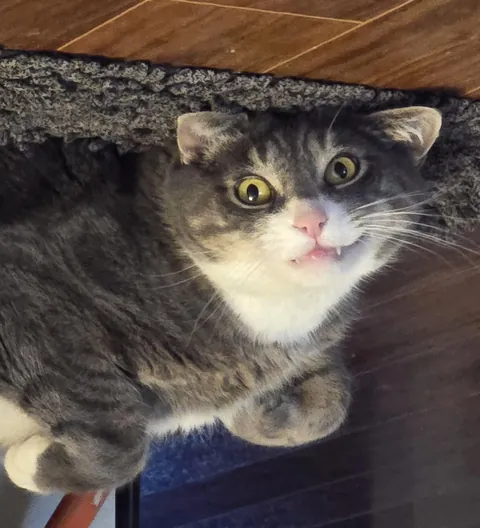 Smelly little trout breath boy