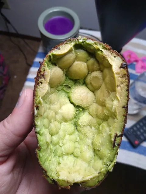 The funkiest avocado I’ve ever cut into.
