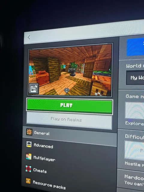 Died in hardcore but the next day i was alive?