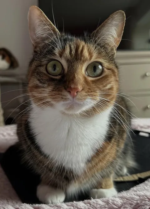 He was the last one in the shelter