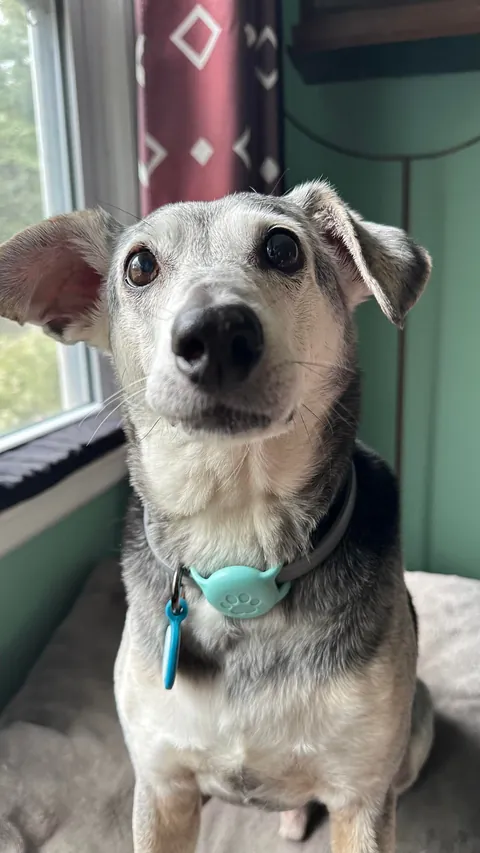 Taco is sending out the good vibes this morning!