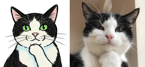 I want to draw, upload a photo of your cat and I'll draw it!