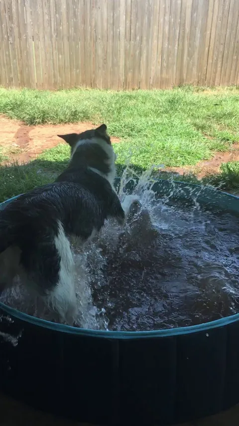 My boys derping out in the pool. 