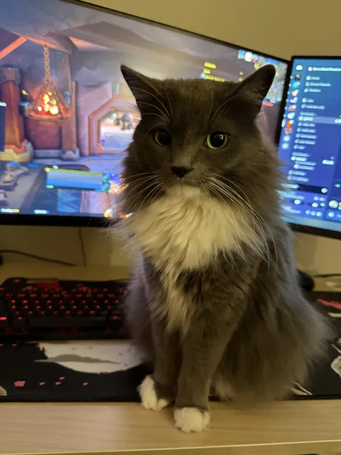 she clawed my face 5 seconds later