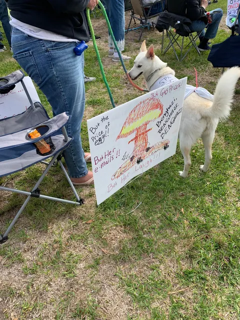 Some signs I saw at a No Kings protest today