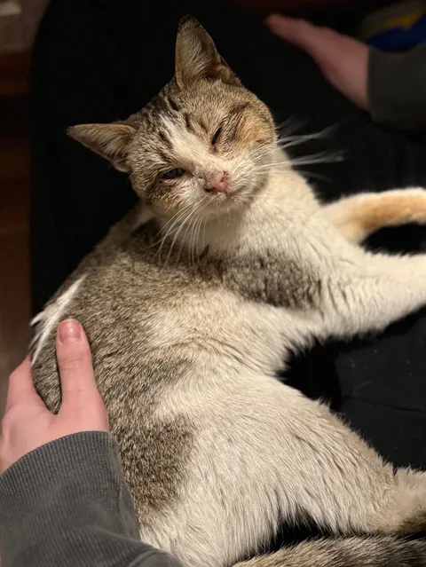 Found this girl shivering and unable to walk at a gas station 🥺
