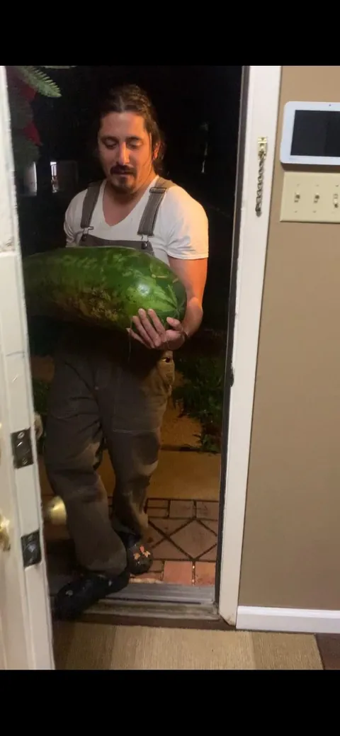 Behold the fruit of my labor 