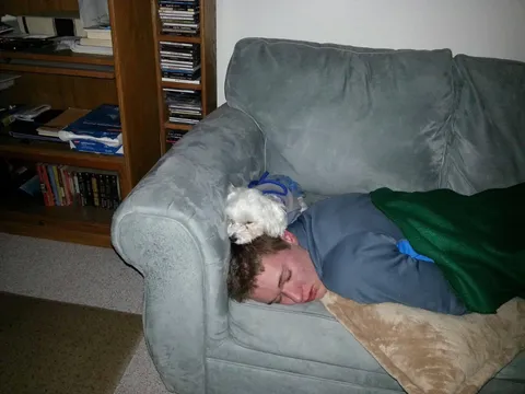 My families first dog taking care of me while I had the flu (2014)