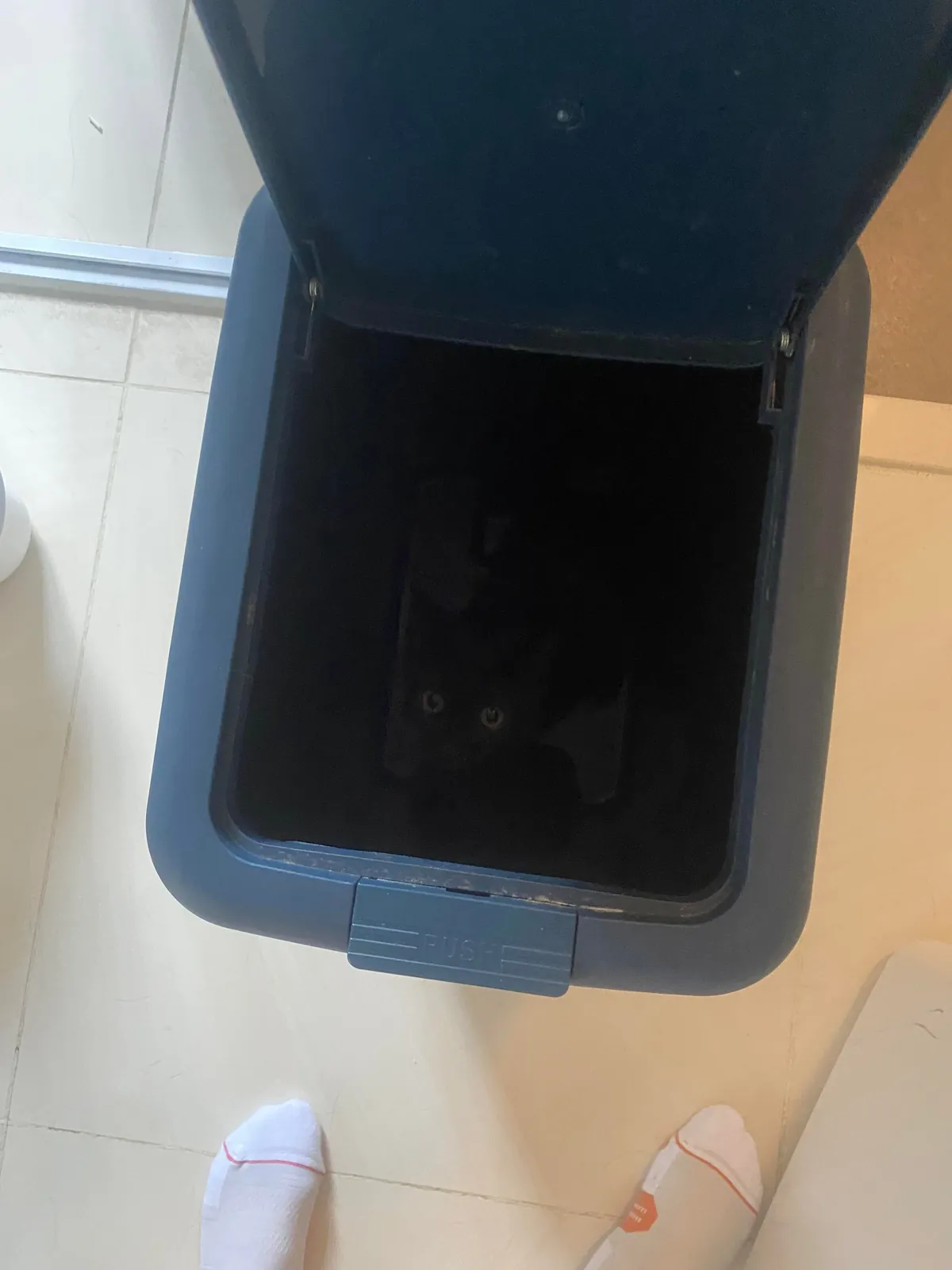 I thought I lost my friend’s cat