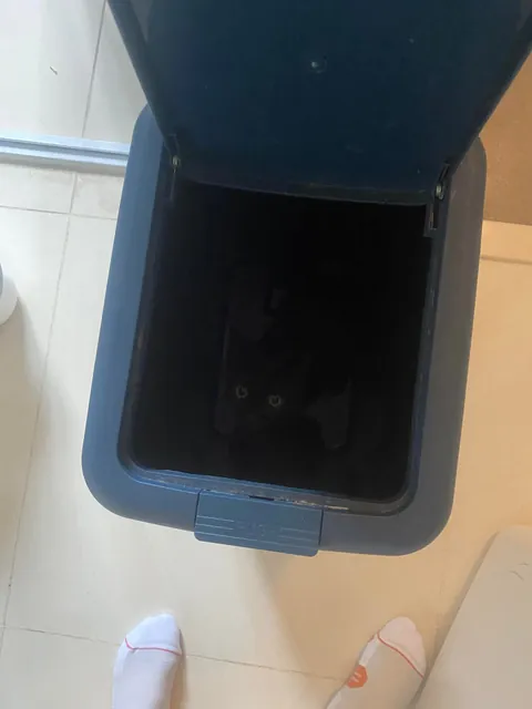 I thought I lost my friend’s cat