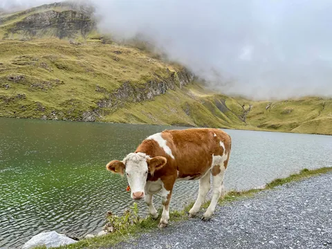 Switzerland in September 2025