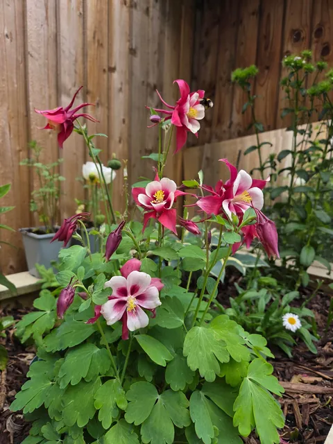 For the lovely soul who stole my photo, here are more.