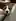 When Scarlet Wants Attention 🥰
