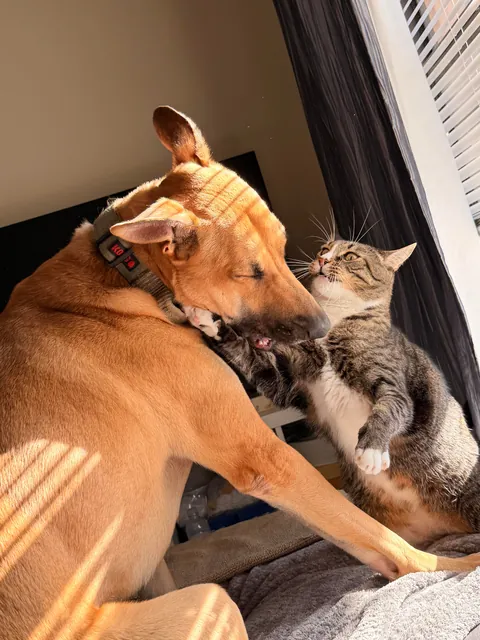 A sequence of events my GF captured