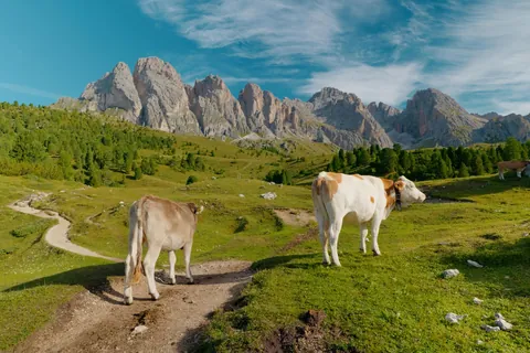 Went to the Dolomites!