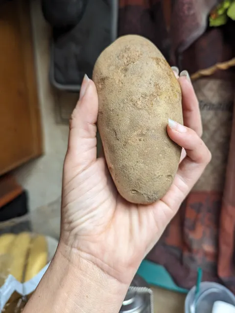 The only ingredient my father purchased for our potato salad for Easter dinner.