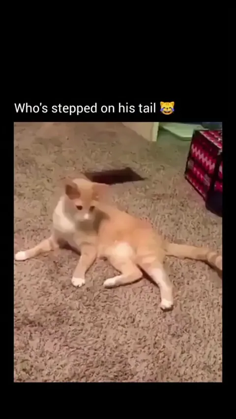 What happened bro😂
