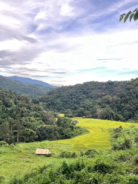 5 Days in Chiang Mai reflection. Slower Pace + Crisp Air + omg Khao Soi (curry noodle soup)