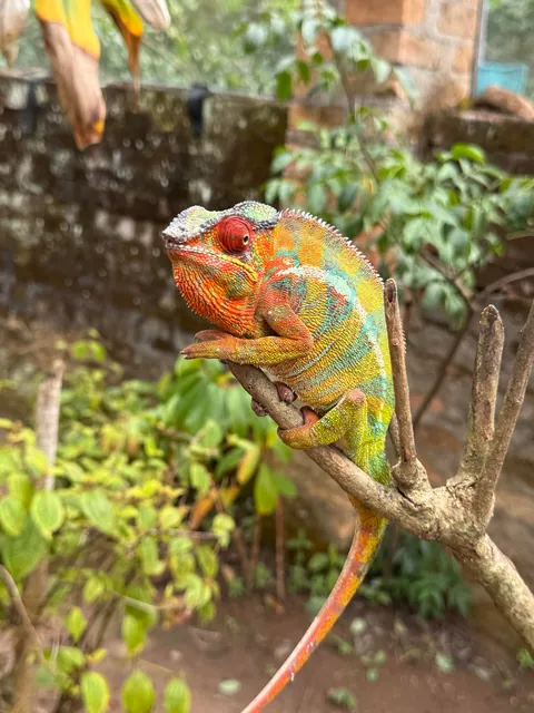 madagascar is goddamn epic