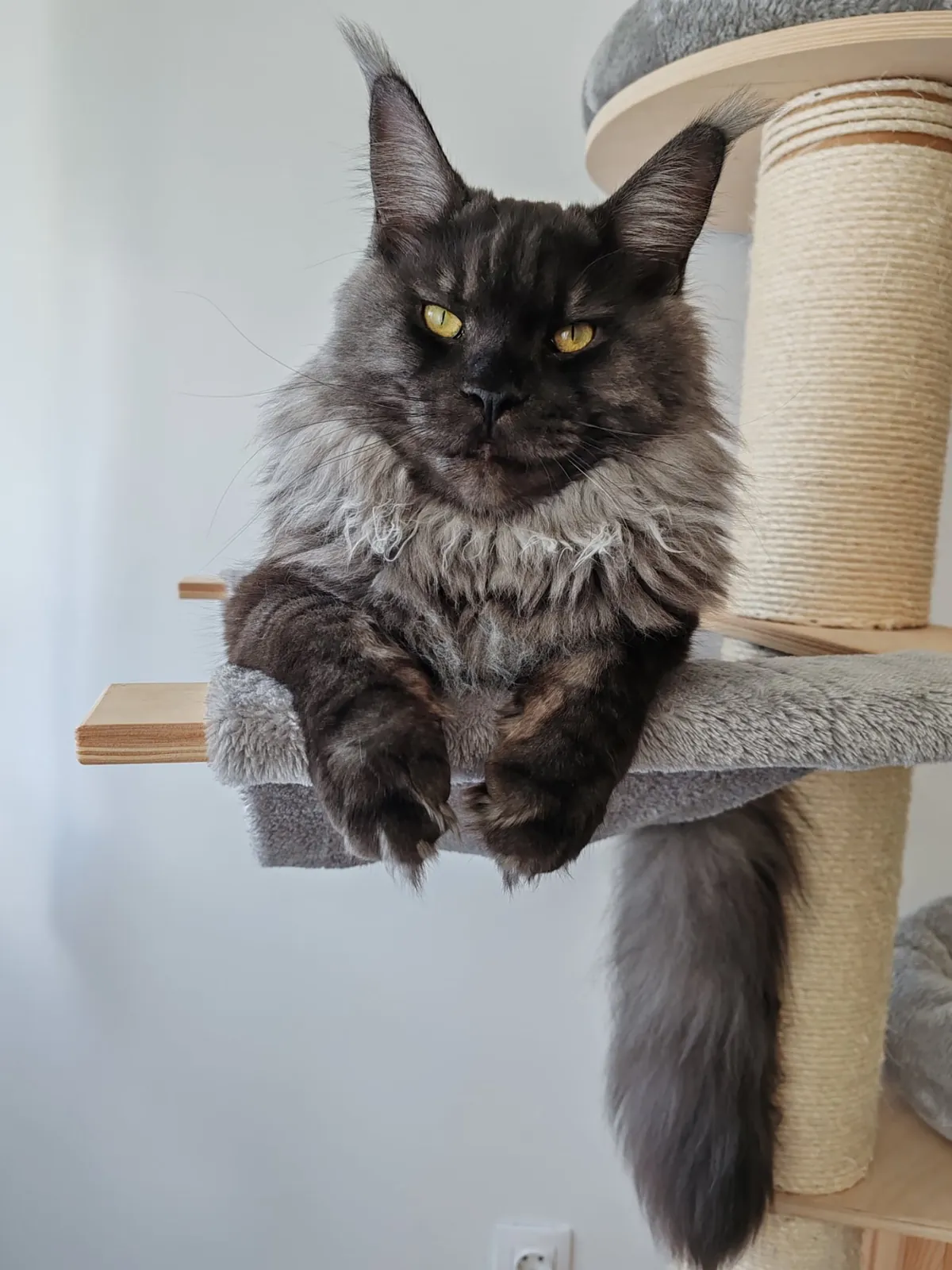 Théoden turned 1 year old.