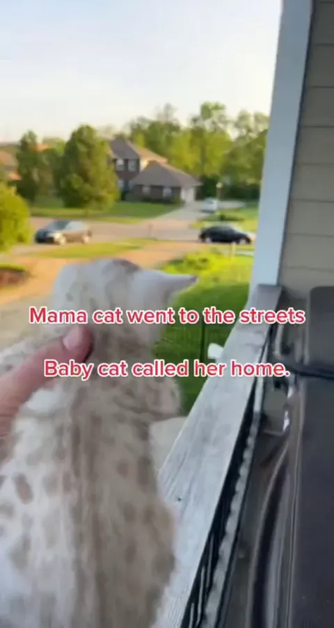 Mothers are all same 😇