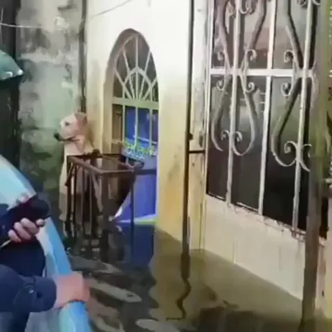 Cause every life matters.