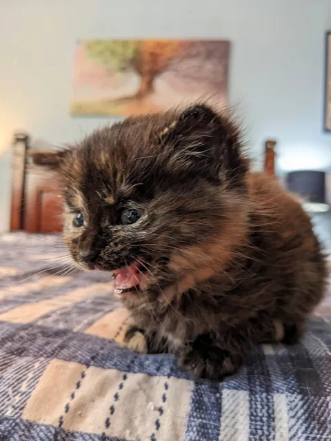 Updates on the sweet ice princess, Elsa!