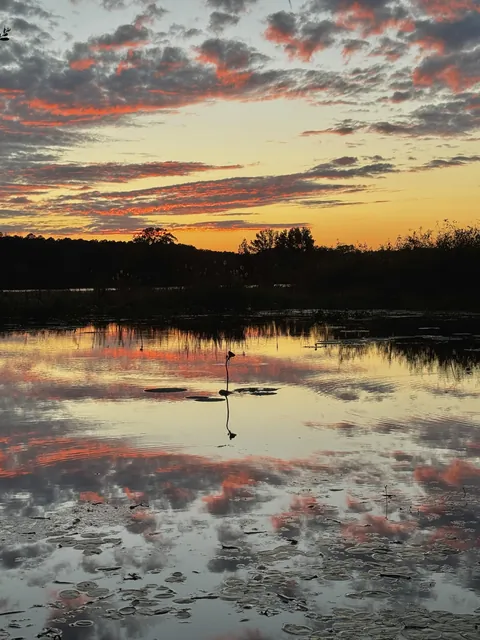 This reflected sunset sky