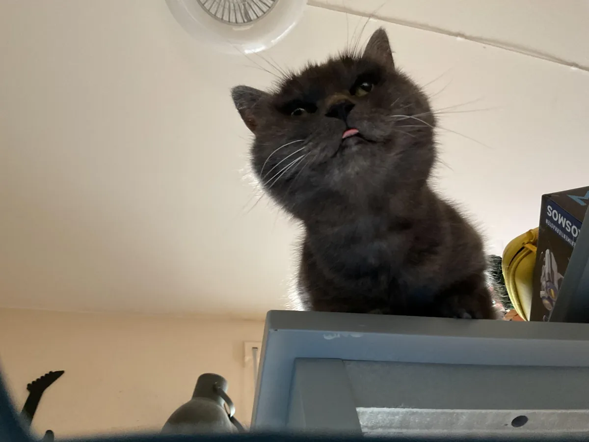 She turned 19 today:D