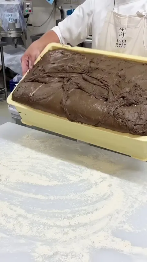 Japanese Marbled Fluffy Bread Making