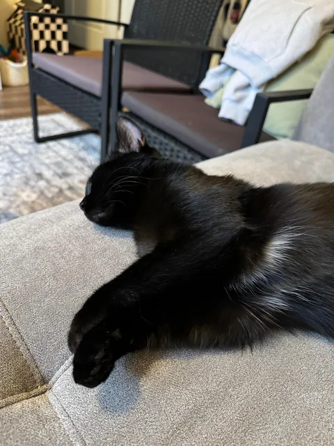 It’s my adopted baby’s first (estimated) birthday!