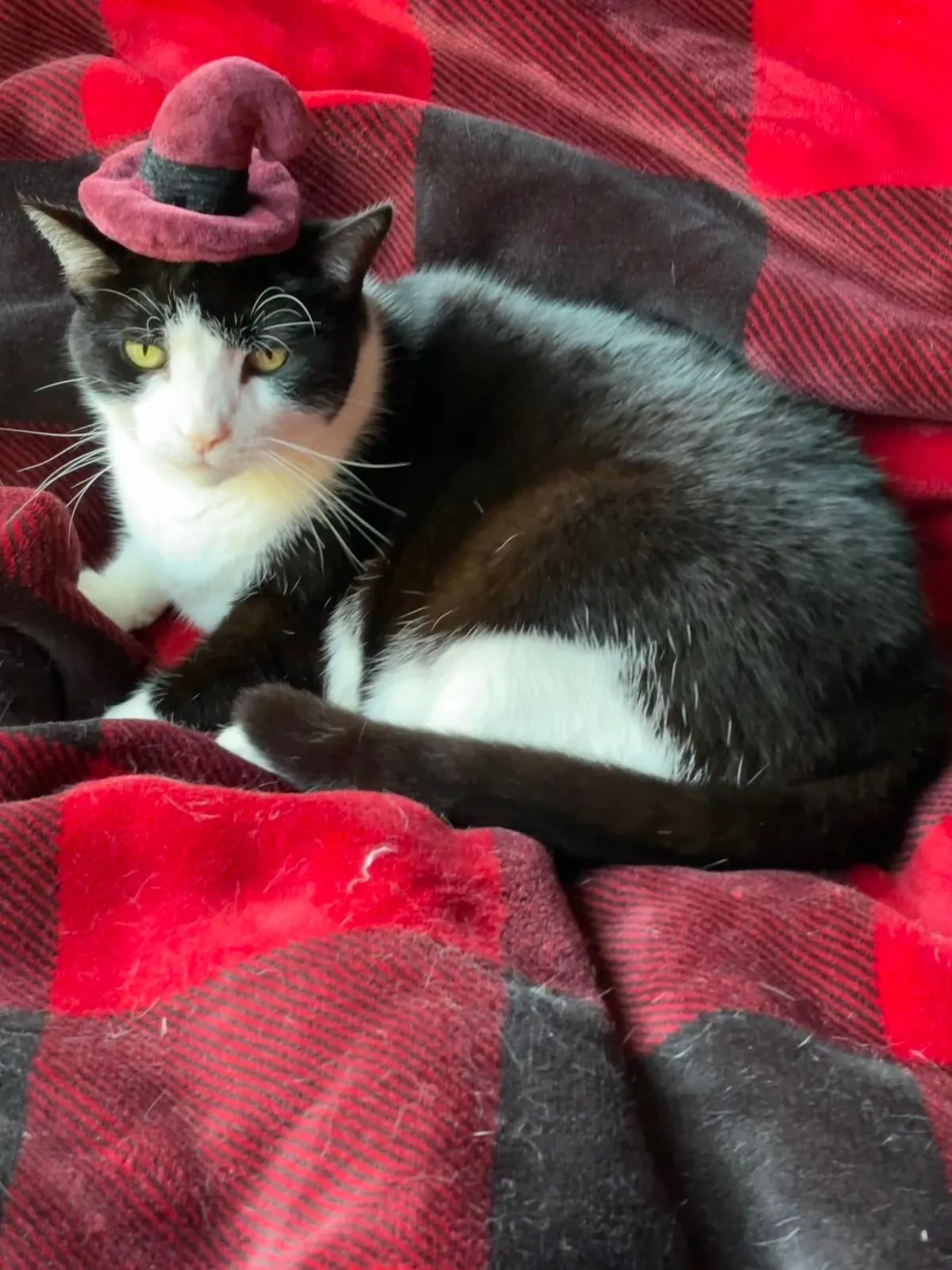 she was my best friend for 16 years…