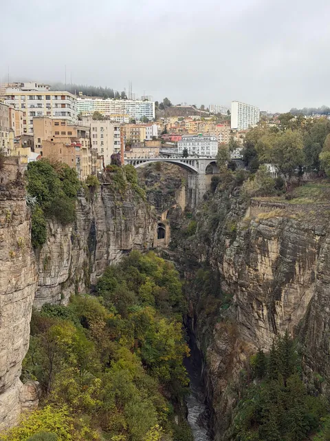 Amazing few days in Algeria