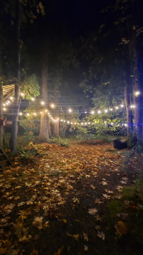 Stayed in a very cozy cabin, even when the power went out.