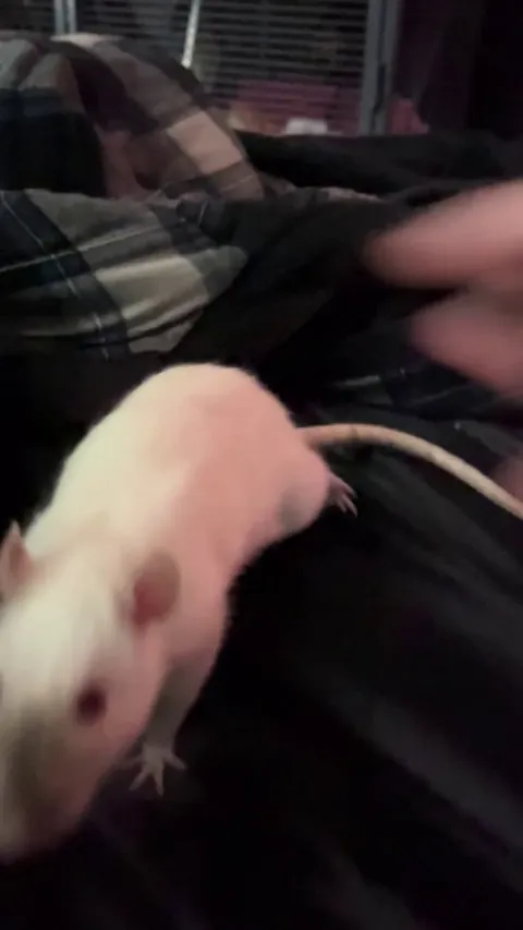 ‼️READY FOR TAKEOFF‼️